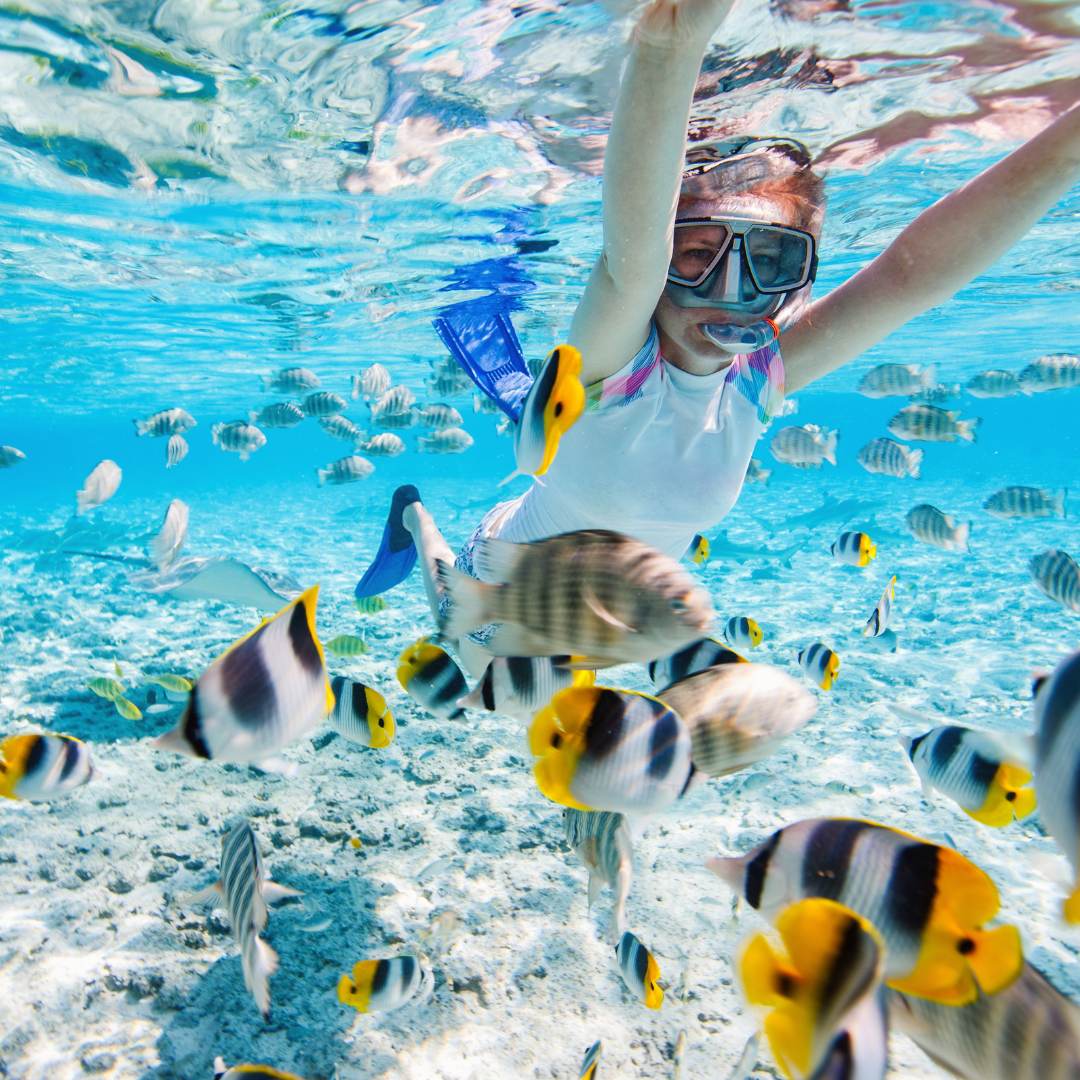 Best Perth Snorkelling Spots For Beginners Perth Happenings