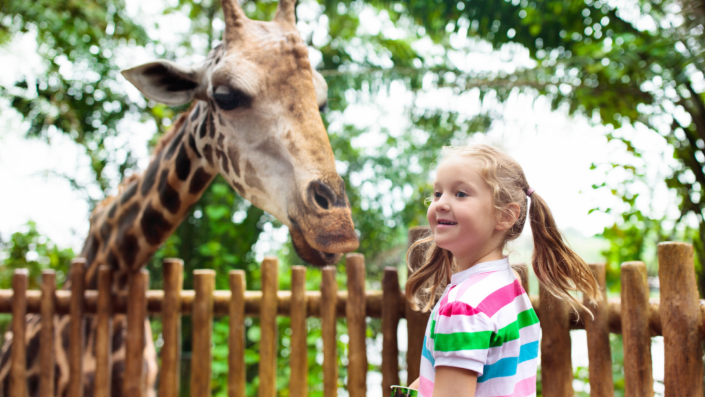 Perth Zoo