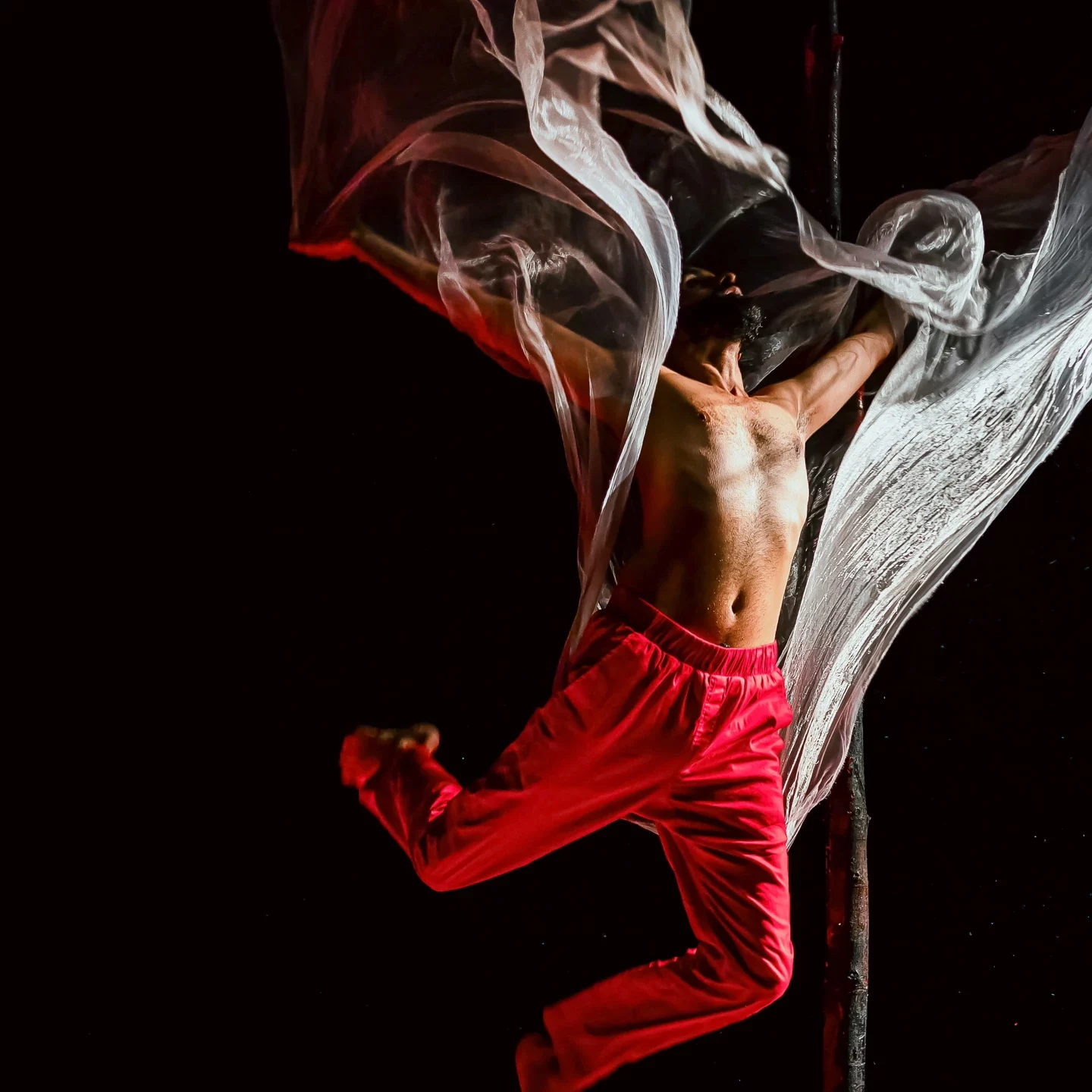 songs of the bulbul 2