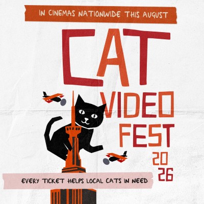 CatvideofestEDM