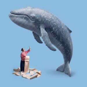 Walk of the Whales