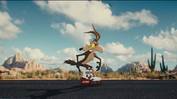 Coyote vs Acme - web