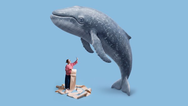 WhalesReview